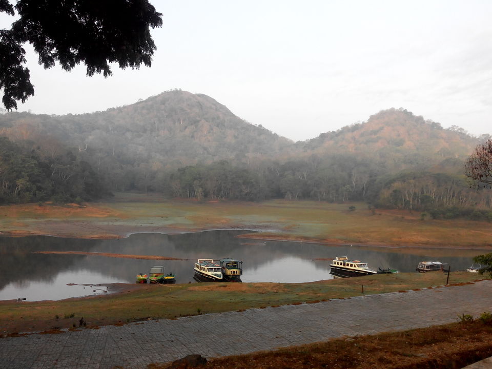 Photo of Kerala Proved To Me As God's Own Country 29/34 by Dipti Goyal