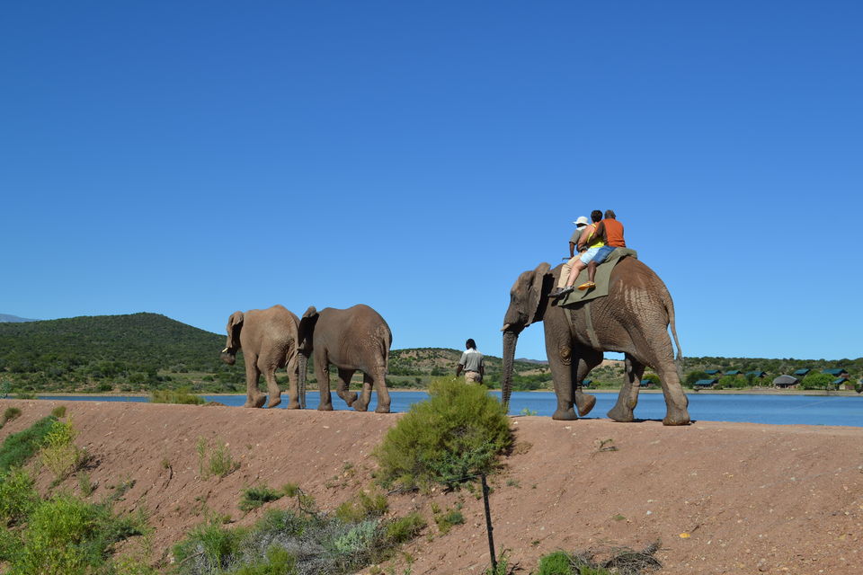 Photo of 15 Never Seen Before Shots From A Volunteer Trip To South Africa 13/15 by Dipti Goyal