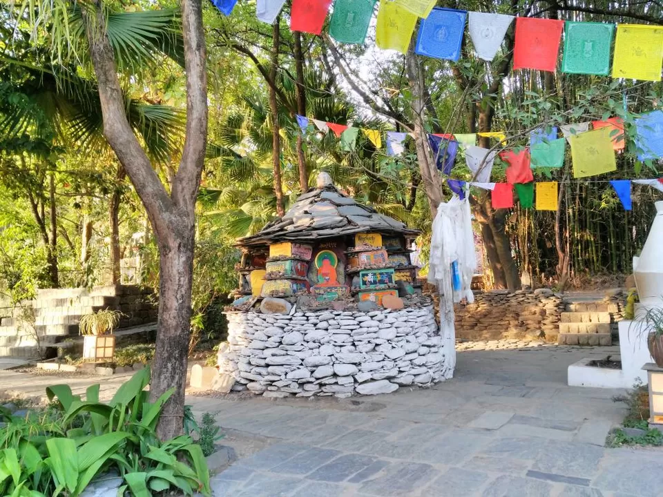 Photo of norbulingka, McLeod Ganj, Dharamshala, Himachal Pradesh, India by Dipti Goyal