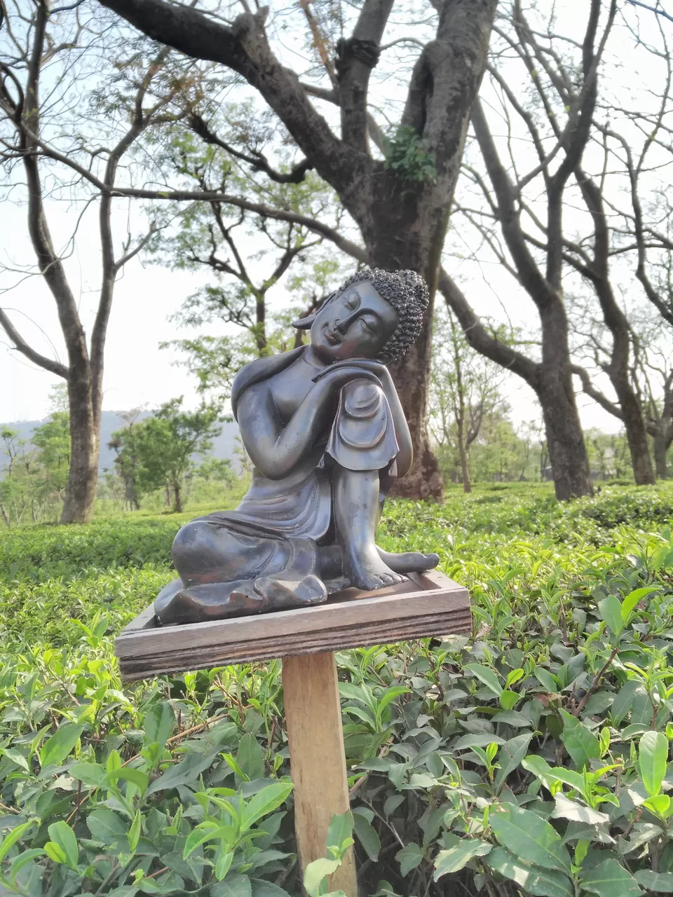 Photo of Palampur, Himachal Pradesh, India by Dipti Goyal