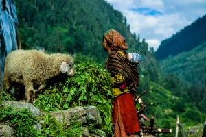 Photo of Kheer Ganga- The Realm Of Heavens 3/12 by Arvind