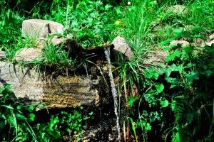 Photo of Kheer Ganga- The Realm Of Heavens 11/12 by Arvind