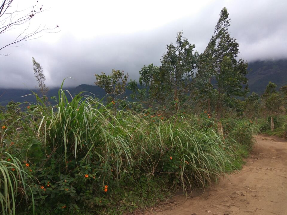 Photo of A Day In Chinnakannal, Munnar by Deepu Krishnan