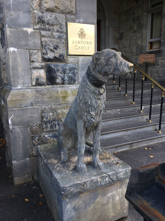 Photo of Ashford Castle, Galway, Ireland by Ashley Harig Pournaras