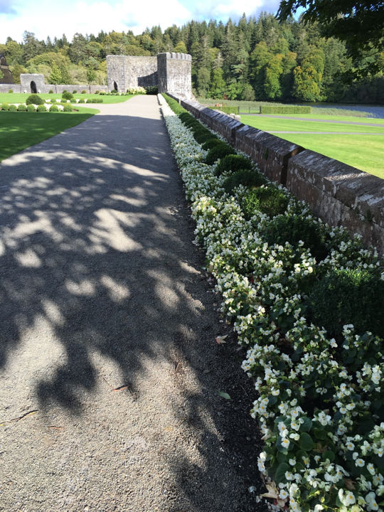 Photo of Ashford Castle, Galway, Ireland by Ashley Harig Pournaras