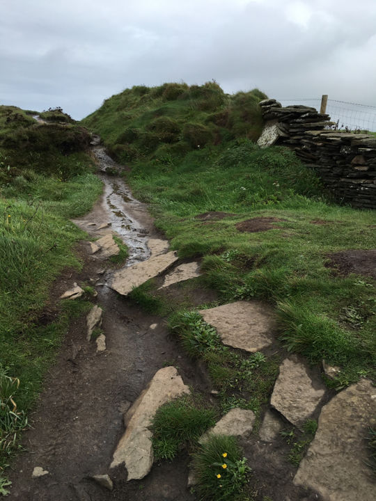 Photo of Cliffs of Moher, Clare, Ireland by Ashley Harig Pournaras