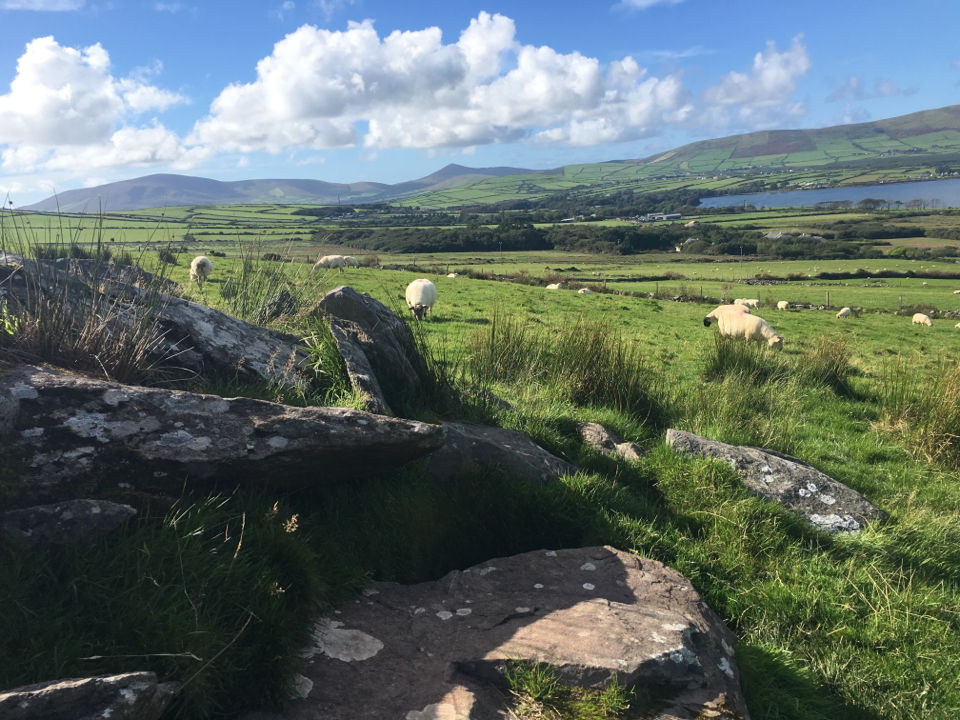 Photo of Dingle & Slea Head Drive by Ashley Harig Pournaras