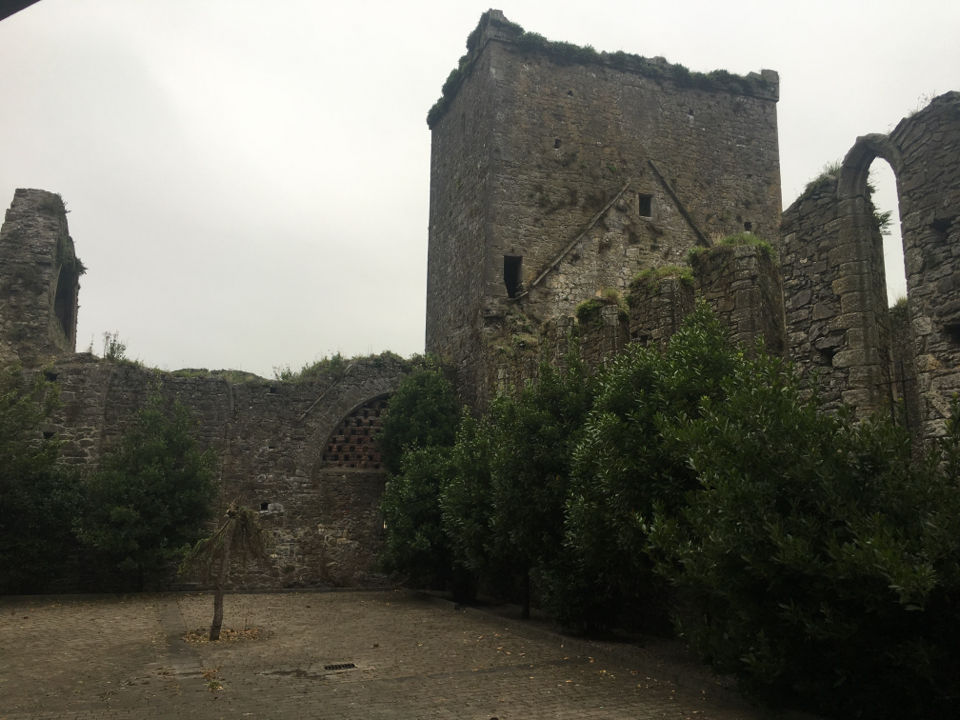 Photo of Cashel by Ashley Harig Pournaras