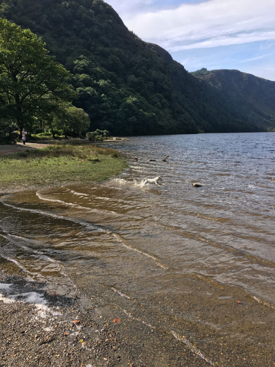 Photo of Glendalough Monastic Site by Ashley Harig Pournaras