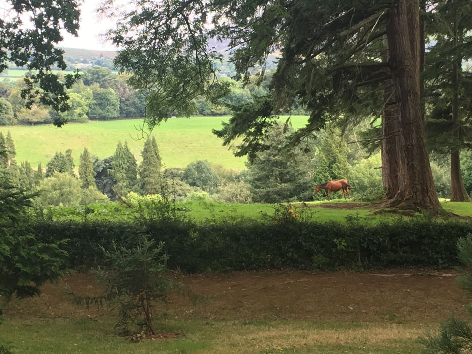 Photo of Powerscourt House & Gardens by Ashley Harig Pournaras