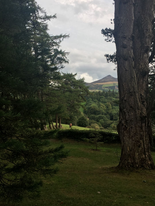Photo of Powerscourt House & Gardens by Ashley Harig Pournaras