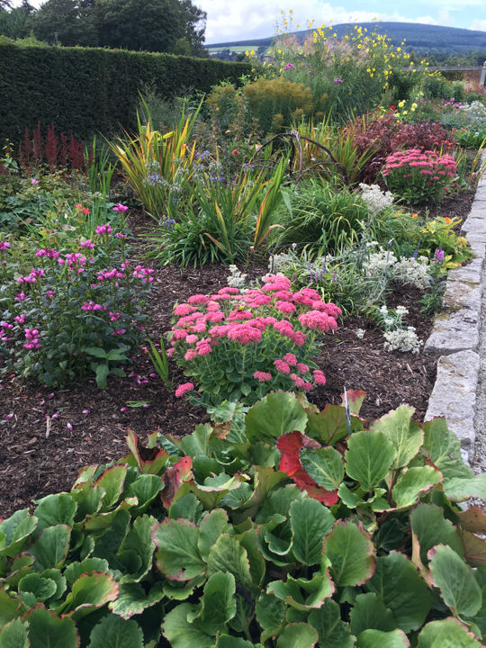 Photo of Powerscourt House & Gardens by Ashley Harig Pournaras