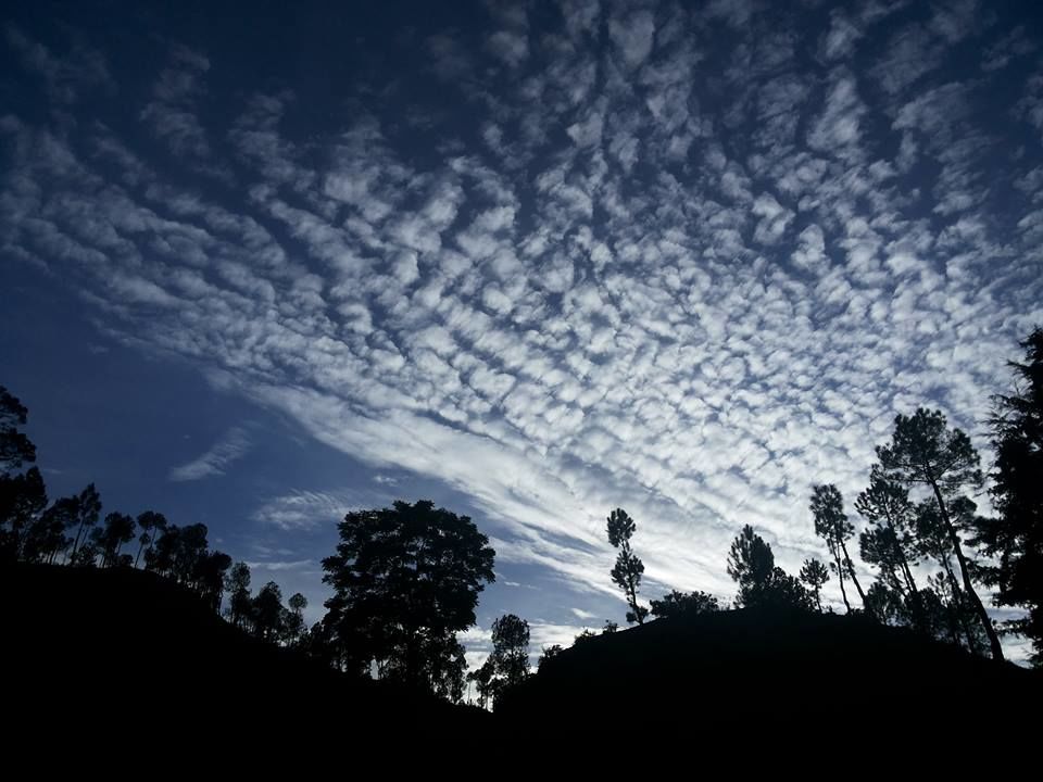 Photo of Binsar: A Window To Himalayas 1/7 by Kushendra Tiwary