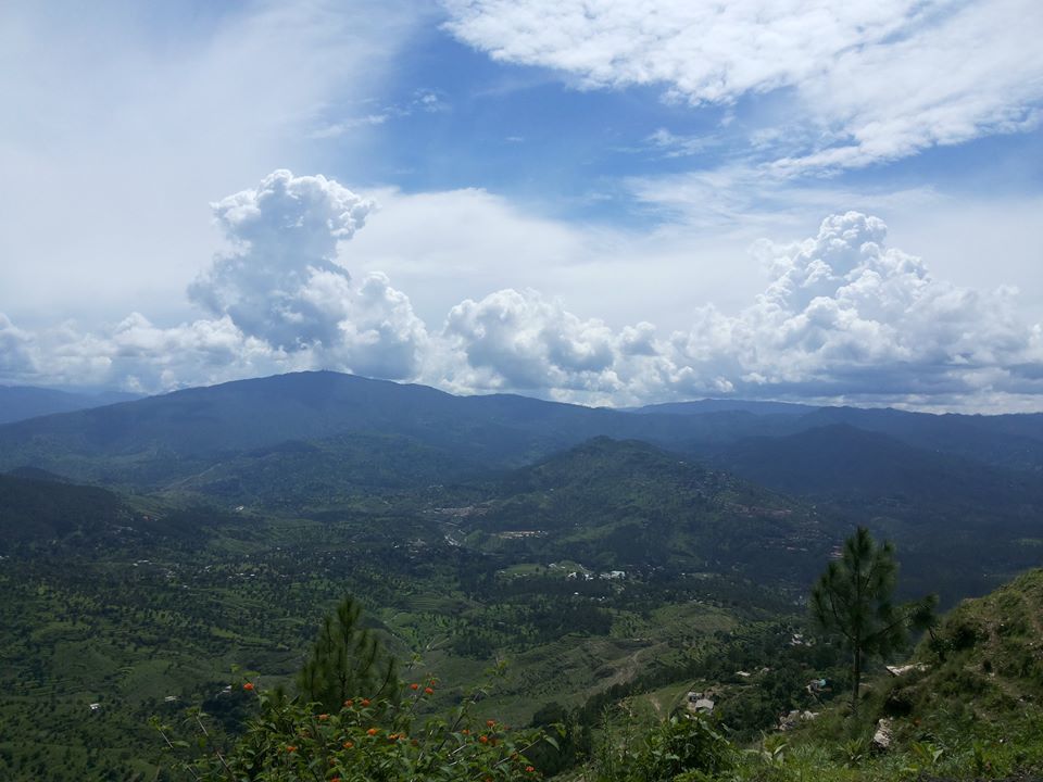 Photo of Binsar: A Window To Himalayas 2/7 by Kushendra Tiwary