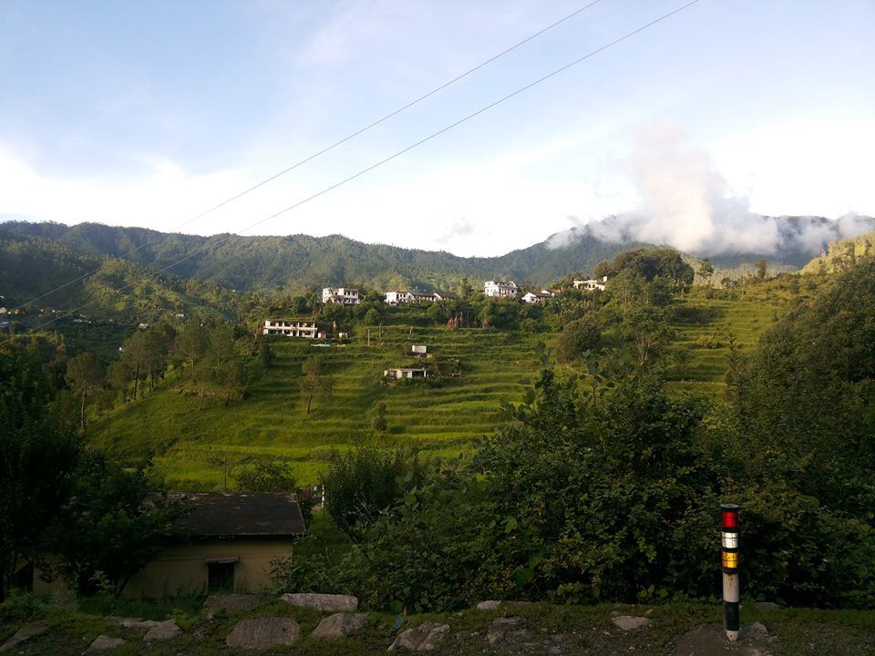 Photo of Binsar: A Window To Himalayas 4/7 by Kushendra Tiwary