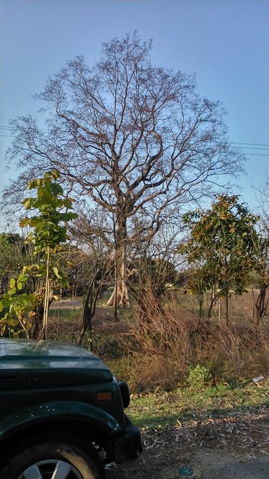 Photo of JIM CORBETT PARK: WILDLIFE, LANDSCAPE & BEYOND 7/8 by Kushendra Tiwary