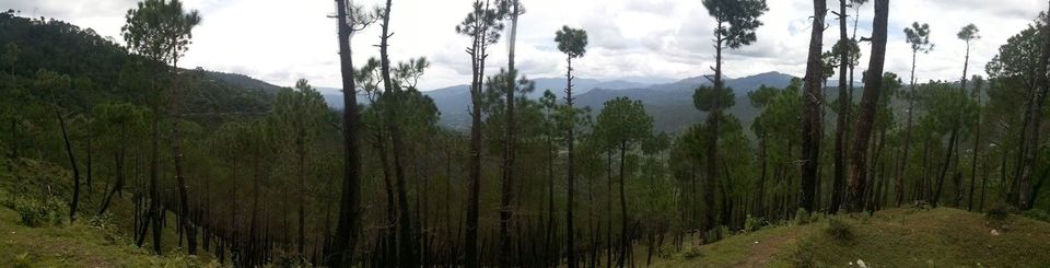 Photo of Binsar: A Window To Himalayas 6/7 by Kushendra Tiwary