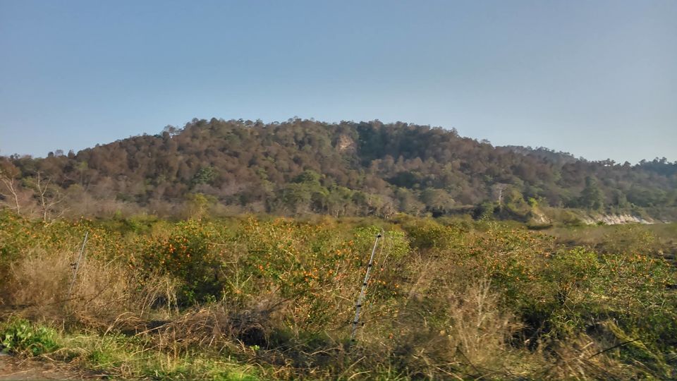Photo of JIM CORBETT PARK: WILDLIFE, LANDSCAPE & BEYOND 8/8 by Kushendra Tiwary
