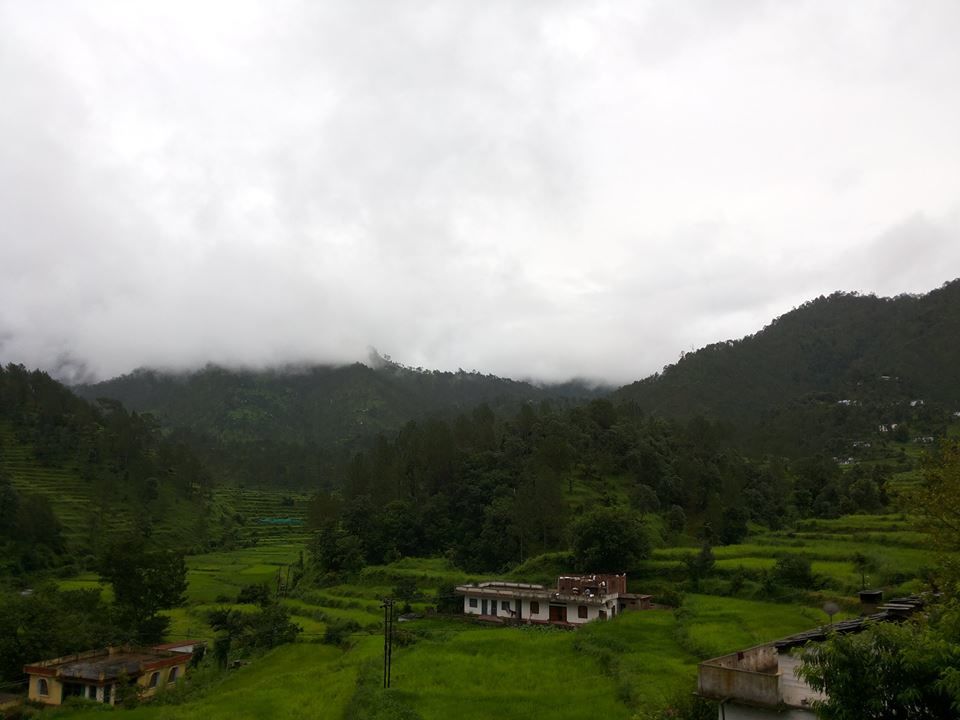 Photo of Binsar: A Window To Himalayas 7/7 by Kushendra Tiwary
