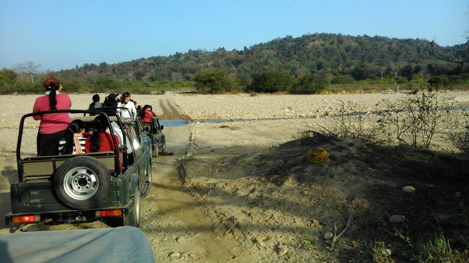 Photo of JIM CORBETT PARK: WILDLIFE, LANDSCAPE & BEYOND 4/8 by Kushendra Tiwary