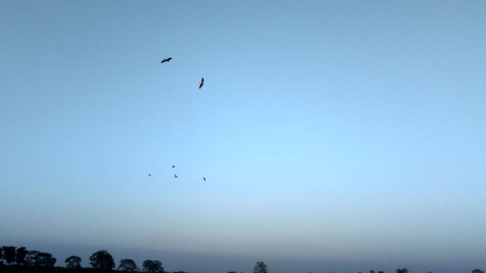 Photo of Kaziranga: Conserving Wildlife And World Heritage 1/9 by Kushendra Tiwary