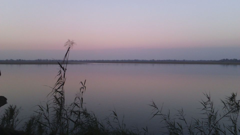Photo of Kaziranga: Conserving Wildlife And World Heritage 5/9 by Kushendra Tiwary