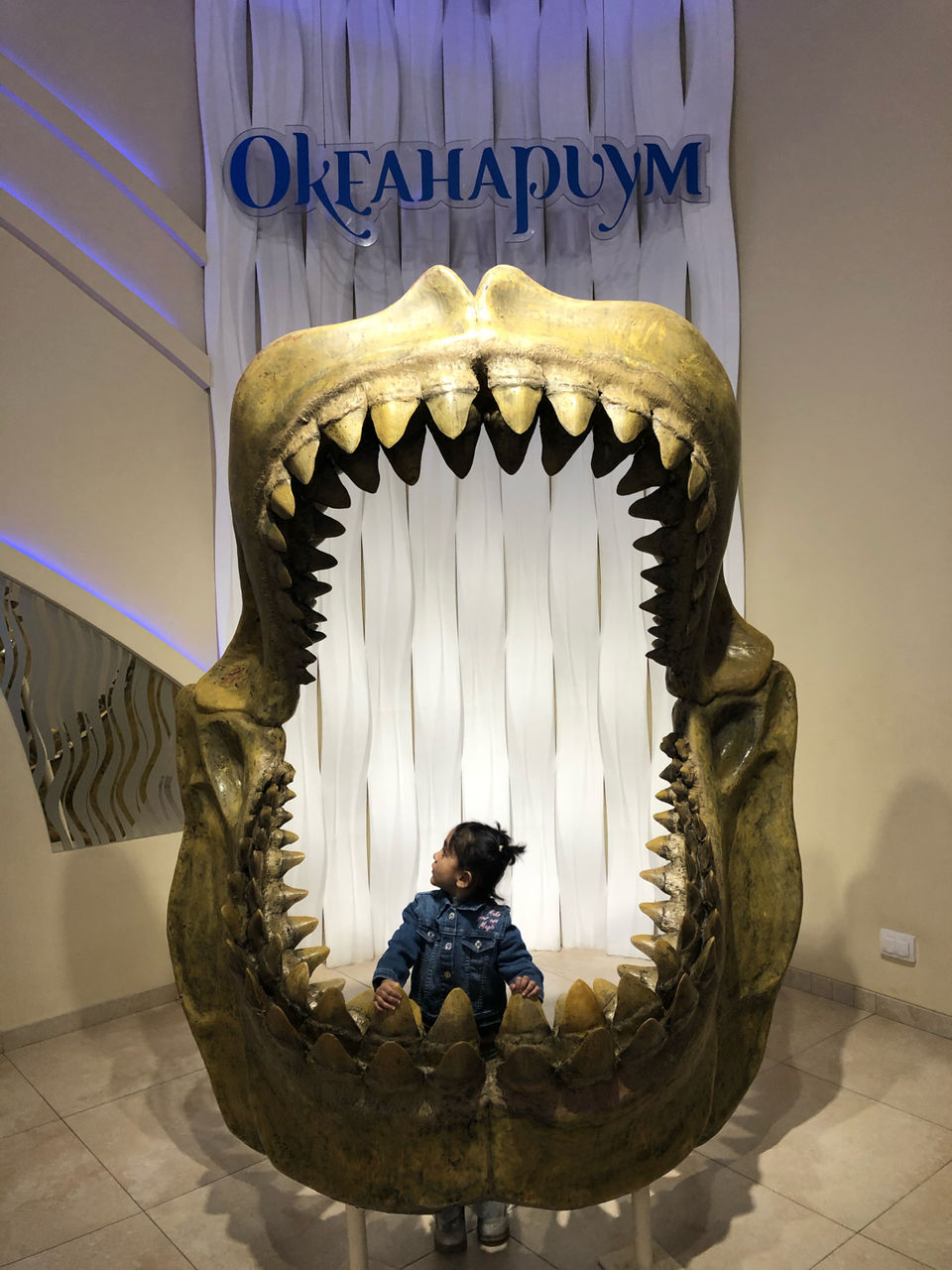Photo of Okeanarium, Ulitsa Mapata, Saint Petersburg, Russia by Rashmi Sharma