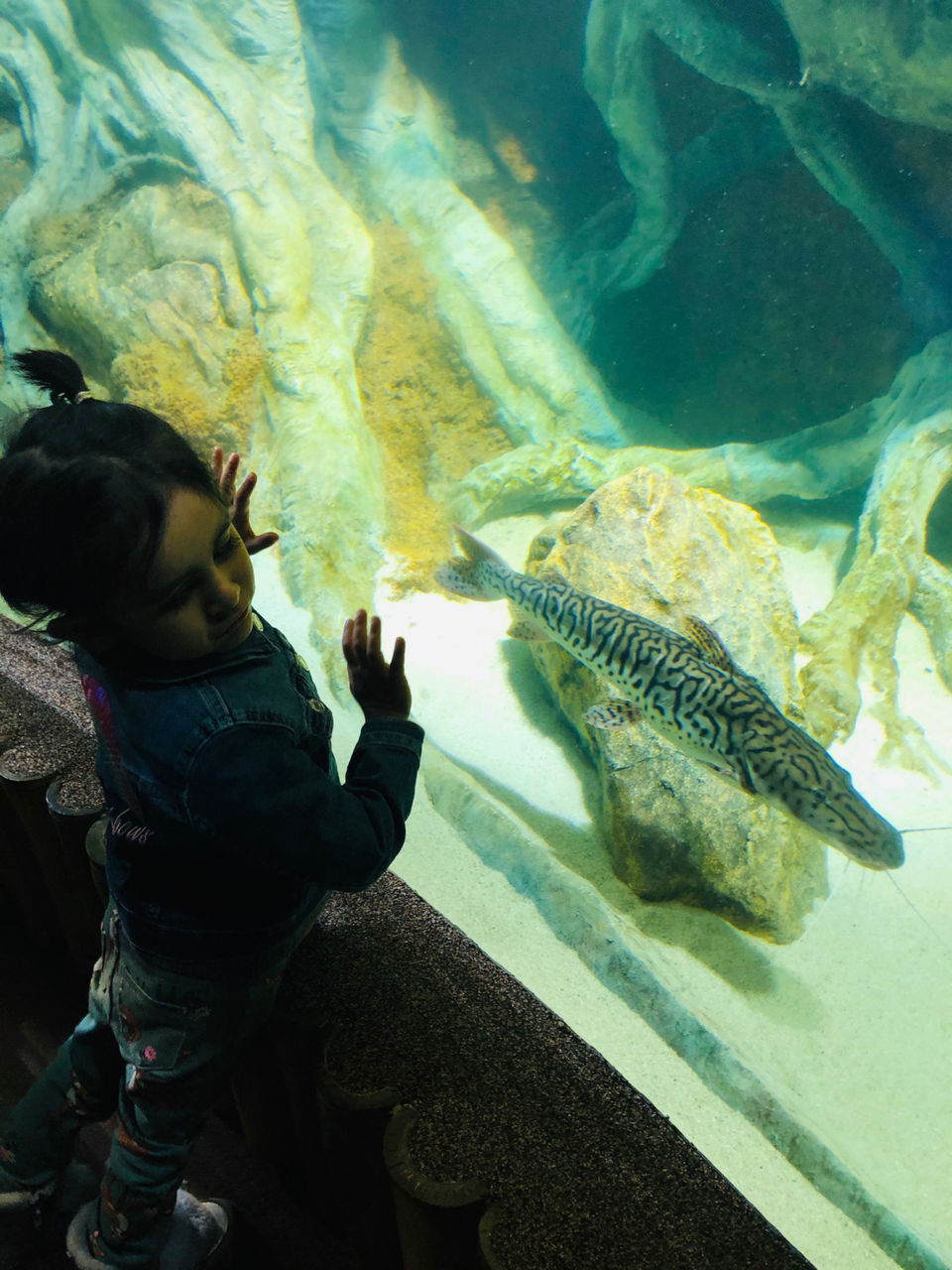Photo of Okeanarium, Ulitsa Mapata, Saint Petersburg, Russia by Rashmi Sharma