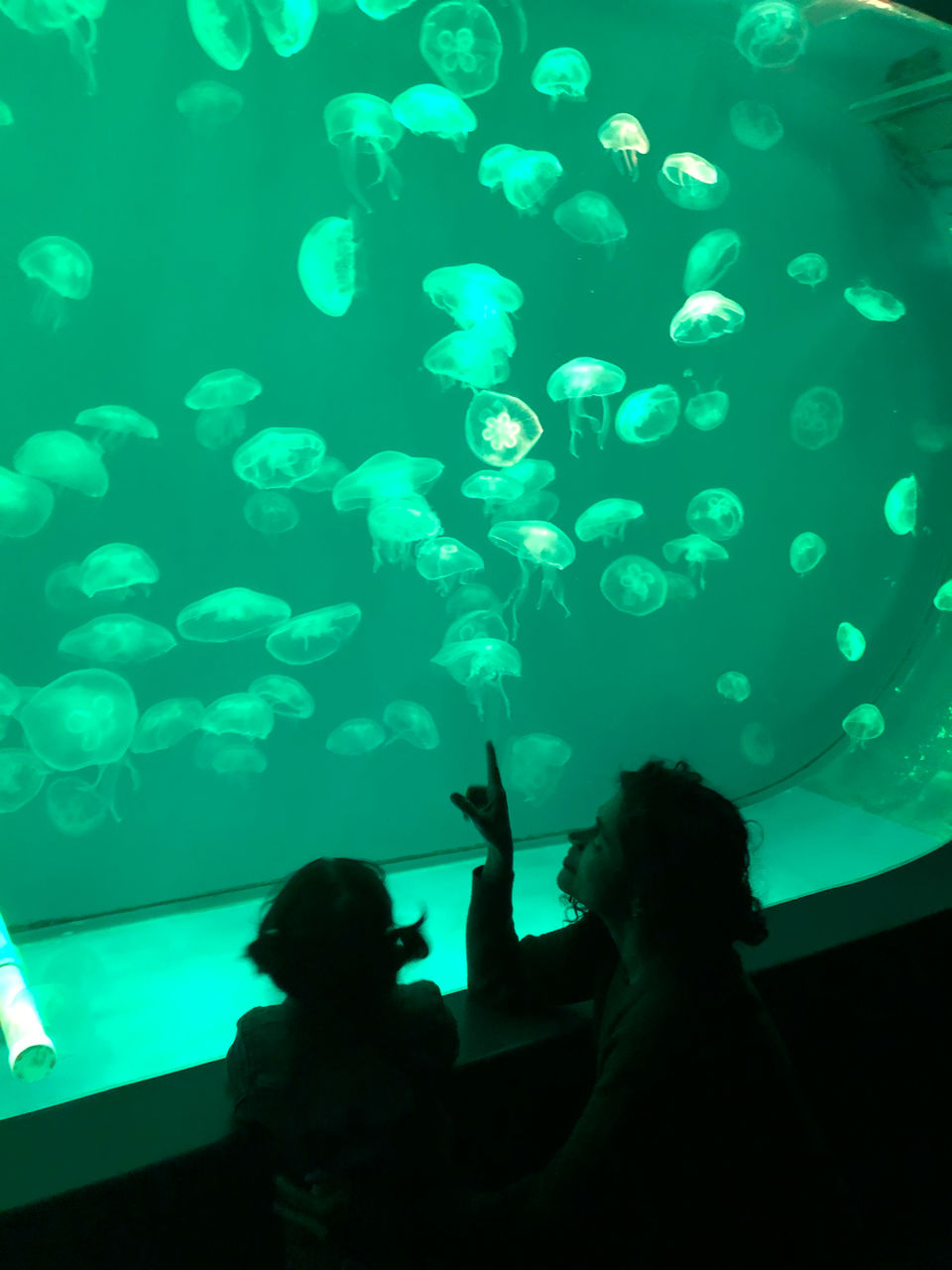 Photo of Okeanarium, Ulitsa Mapata, Saint Petersburg, Russia by Rashmi Sharma