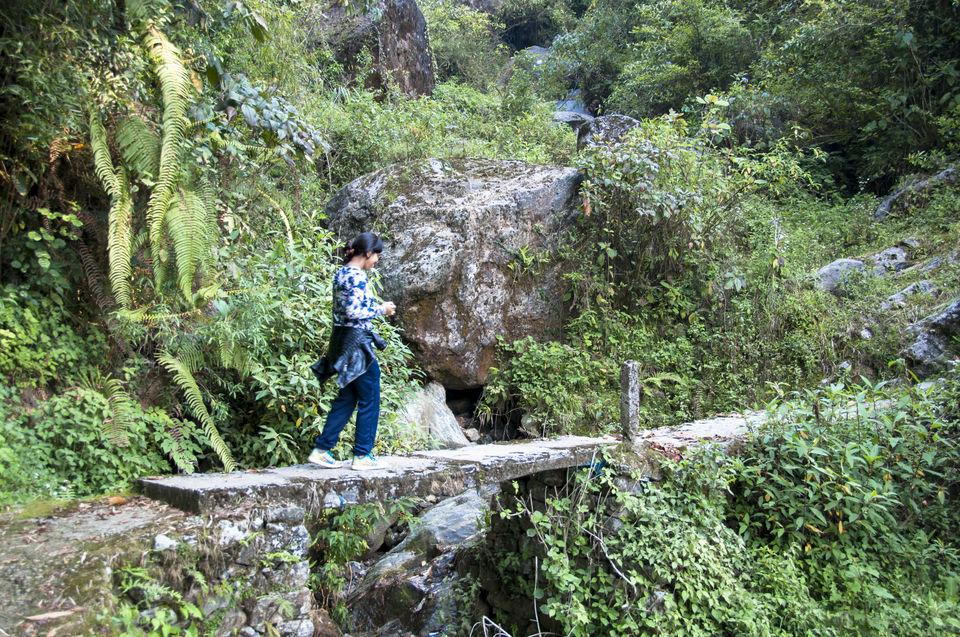 Photo of Premlakha- Walk to the last Indian village near Bhutan by Sayon Sur