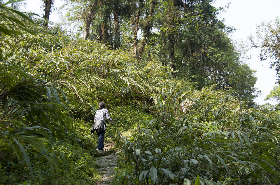 Photo of Premlakha- Walk to the last Indian village near Bhutan by Sayon Sur