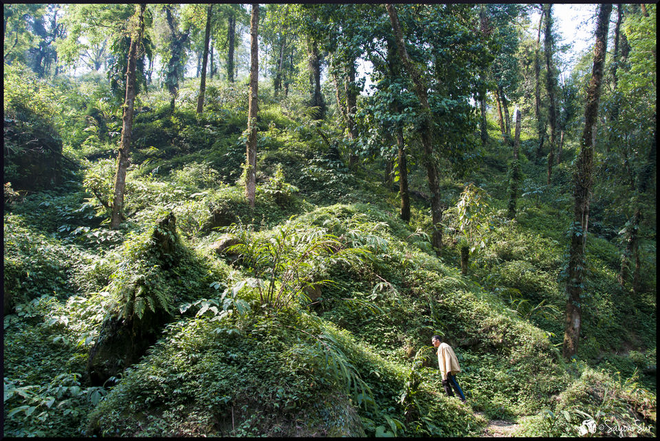 Photo of Premlakha- Walk to the last Indian village near Bhutan 1/4 by Sayon Sur