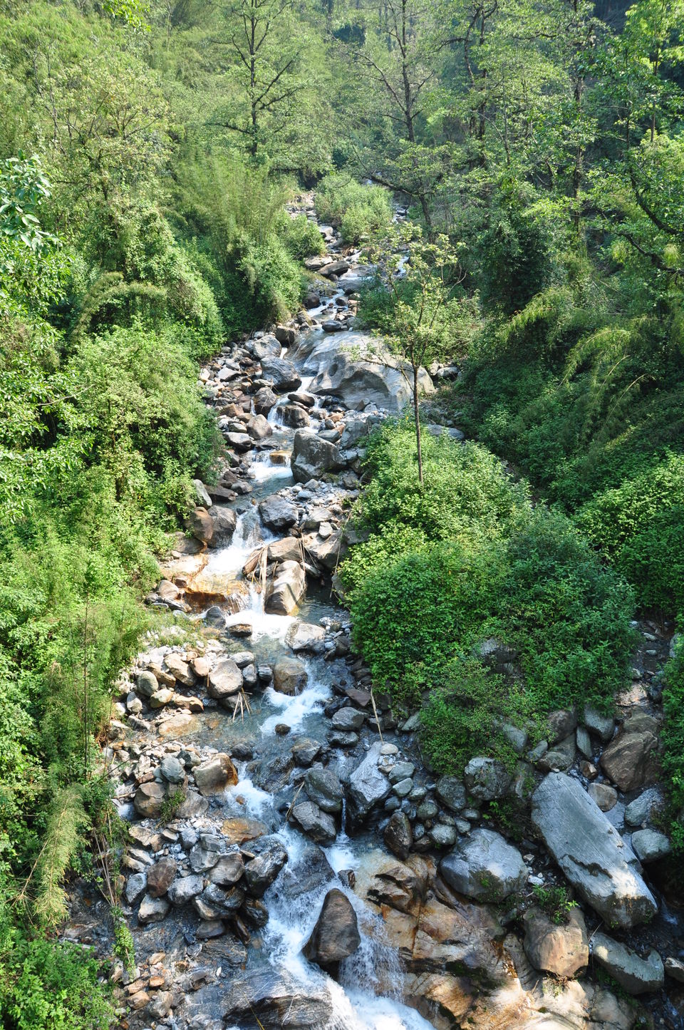 Photo of Premlakha- Walk to the last Indian village near Bhutan by Sayon Sur