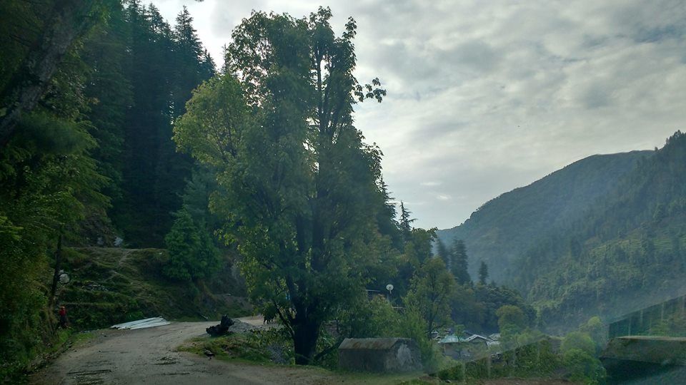 Photo of Barot-The unsung star of Himachal 1/9 by Mitali Shetty