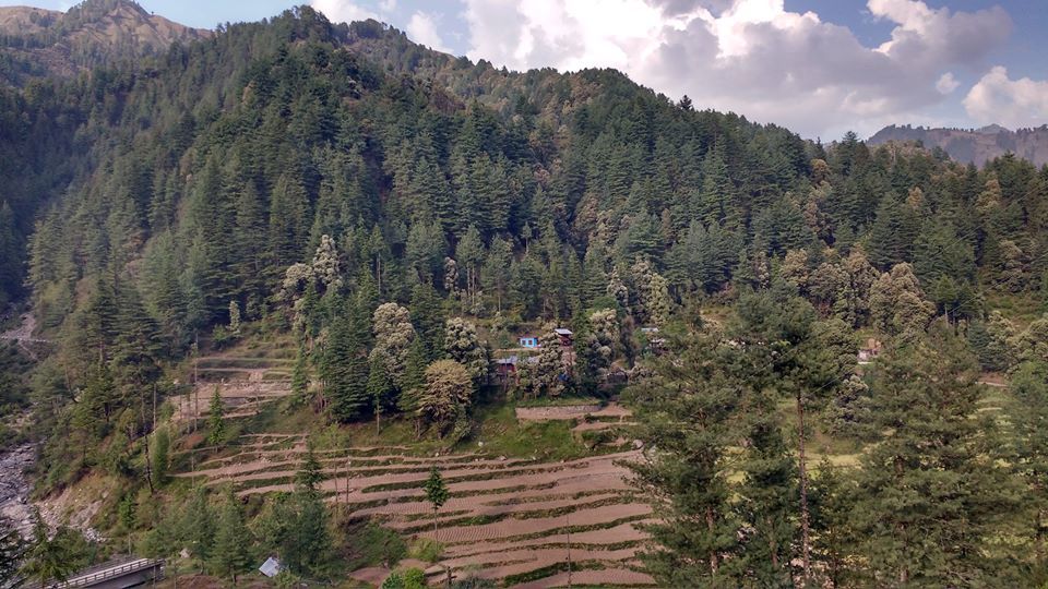 Photo of Barot-The unsung star of Himachal 4/9 by Mitali Shetty
