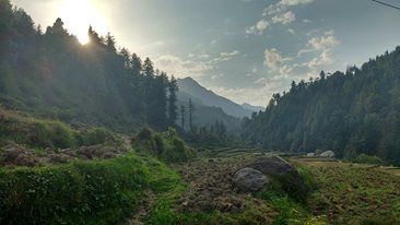 Photo of Barot-The unsung star of Himachal 5/9 by Mitali Shetty