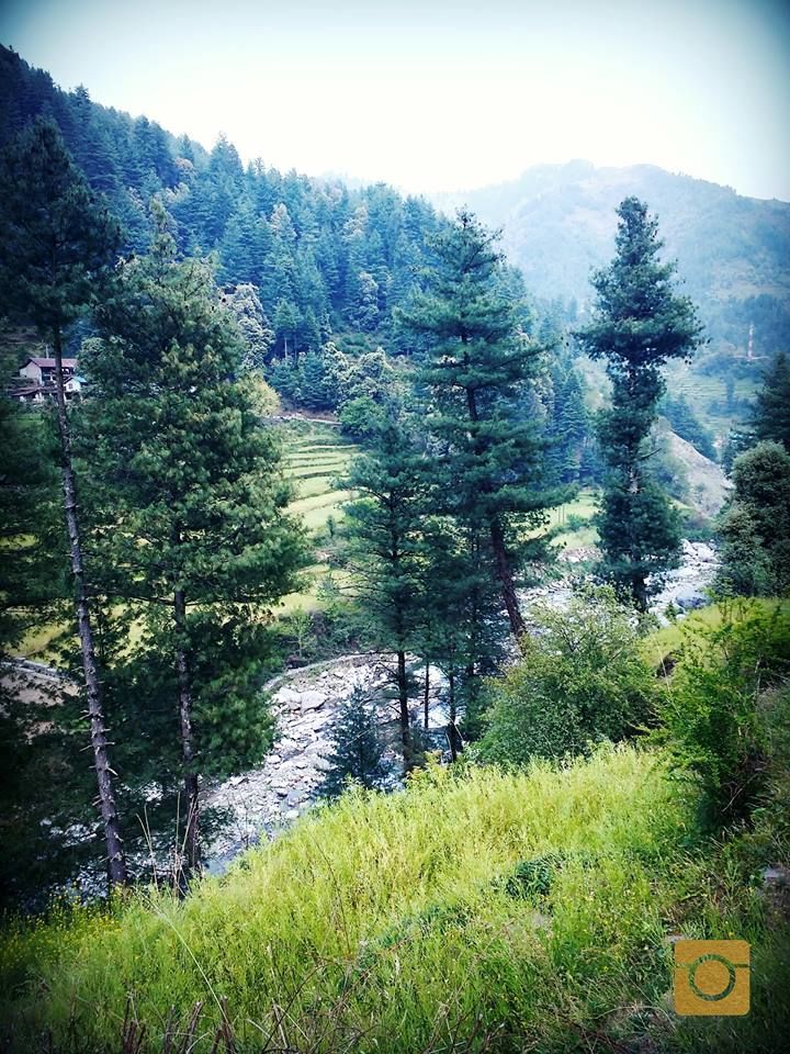Photo of Barot-The unsung star of Himachal 6/9 by Mitali Shetty