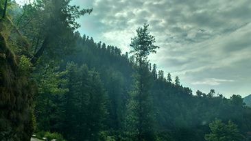 Photo of Barot-The unsung star of Himachal 9/9 by Mitali Shetty