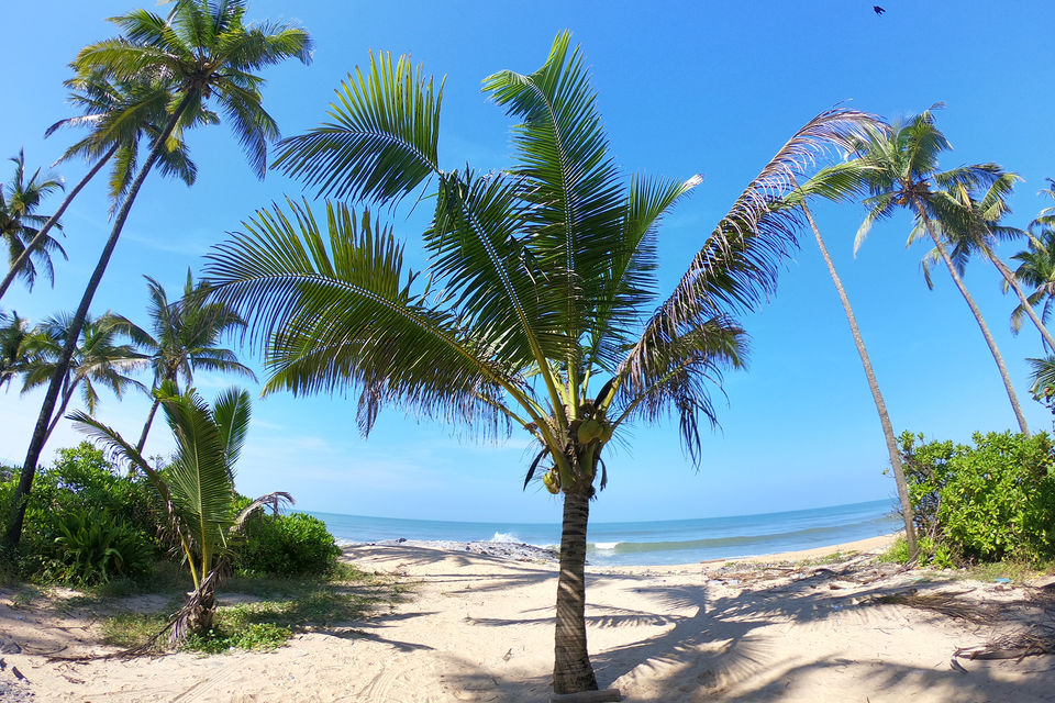 Photo of Best Beaches in India? No we're not talking about Goa or Gokarna. #TravelAdventure2019 by Zafar Anis