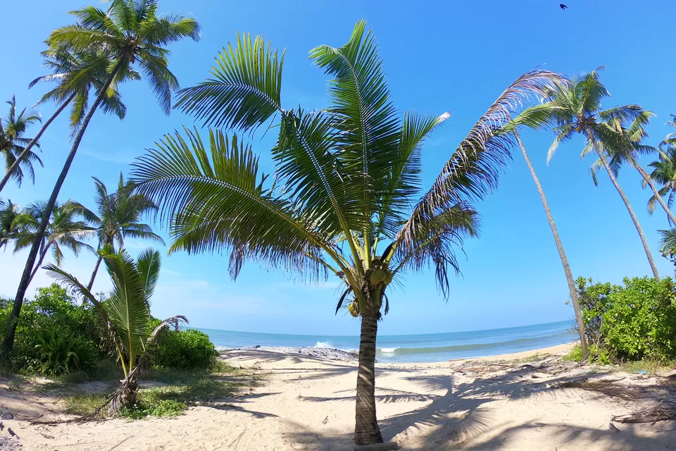 Photo of Pithrody Udyavar Beach, Karnataka by Zafar Anis