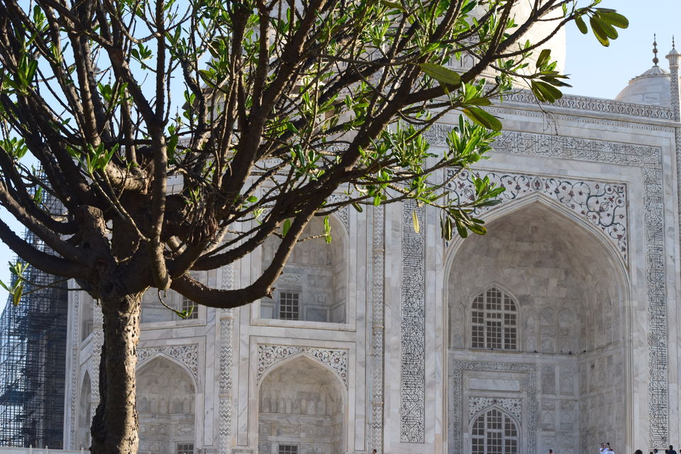 Photo of How to explore the best of Taj Mahal? by Rishika Jain