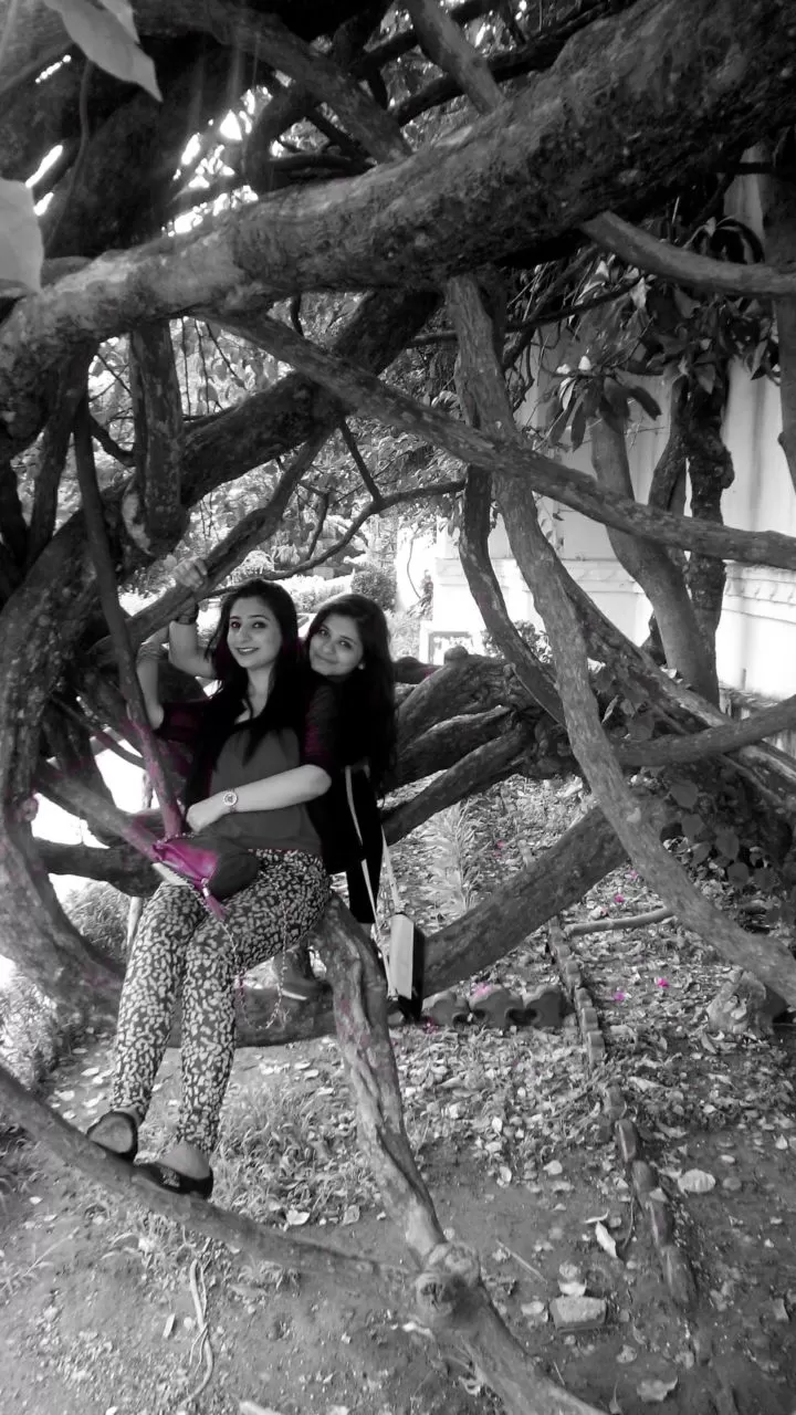 Photo of Sahelion Ki Bari, Udaipur, Rajasthan, India by Rishika Jain