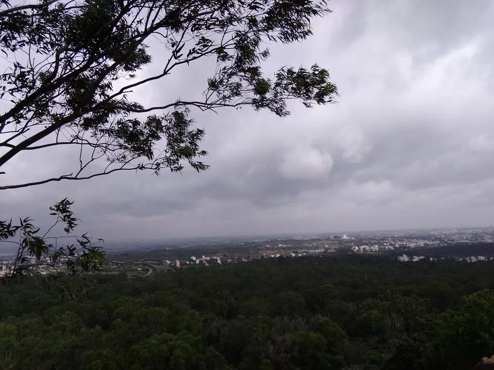 Photo of Turahalli Forest, Bengaluru, Karnataka, India by Rishika Jain