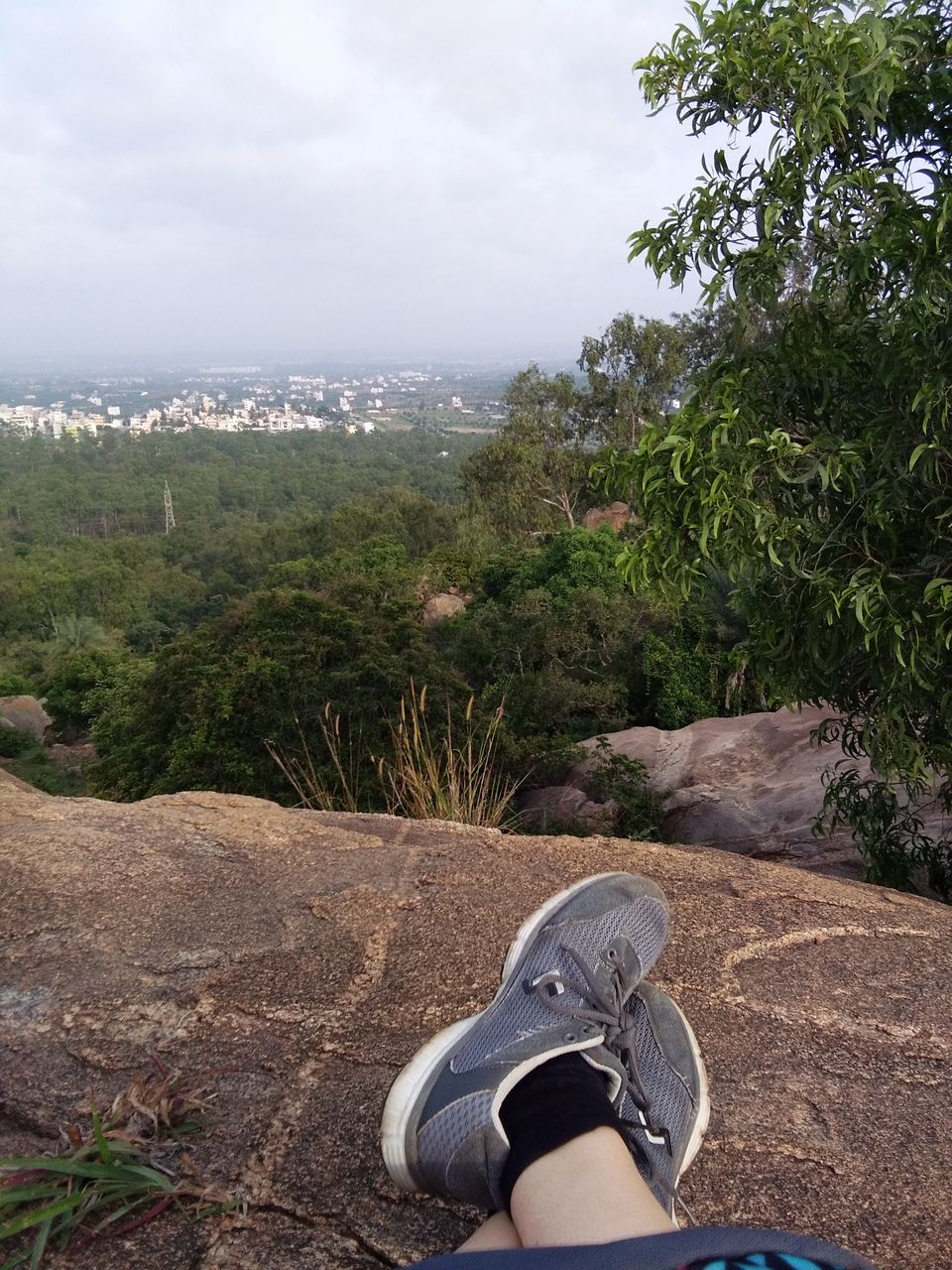 Photo of This forest trek on the outskirts of Bengaluru is the most convenient option for Weekend mornings by Rishika Jain