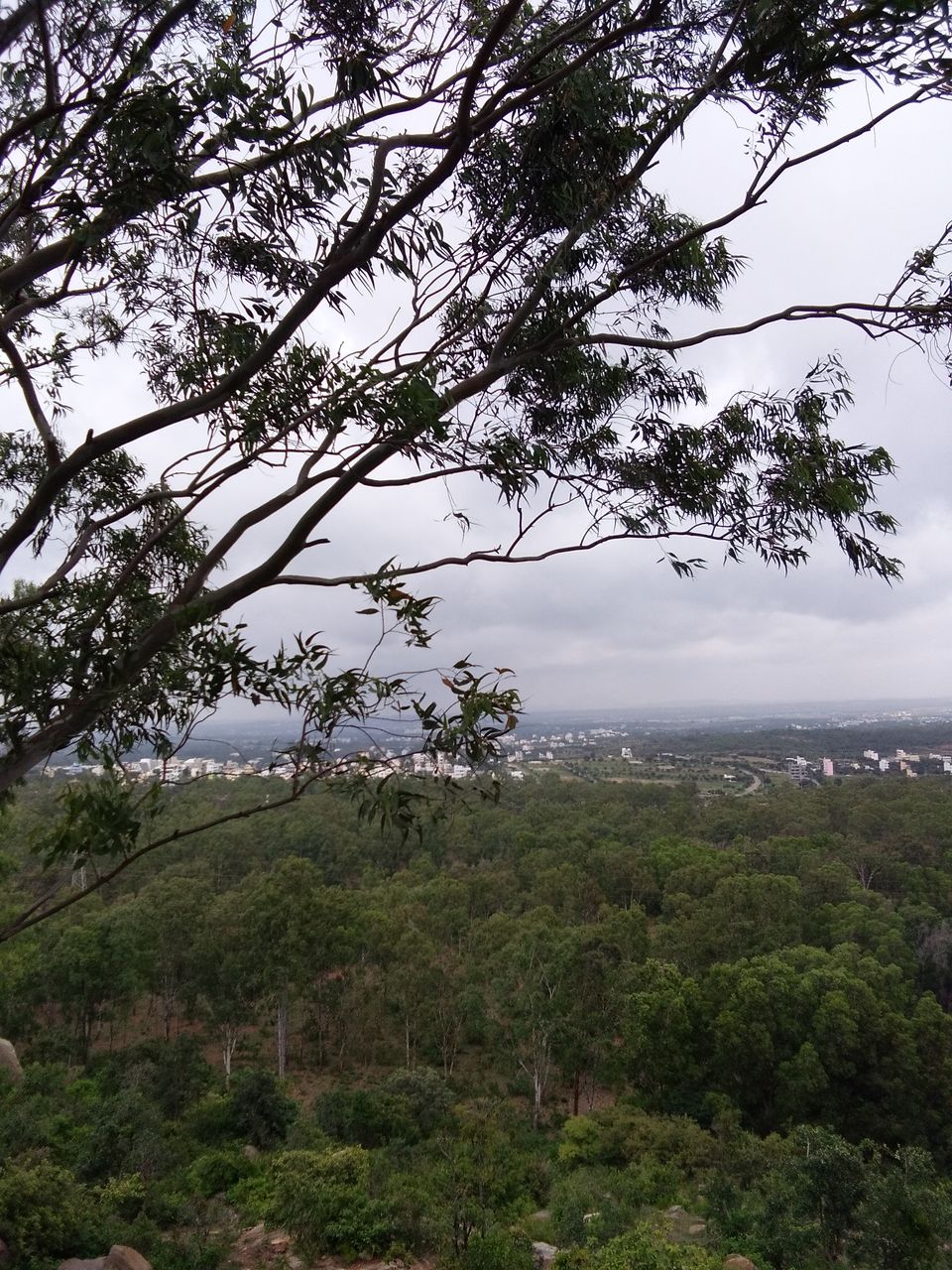 Photo of This forest trek on the outskirts of Bengaluru is the most convenient option for Weekend mornings by Rishika Jain