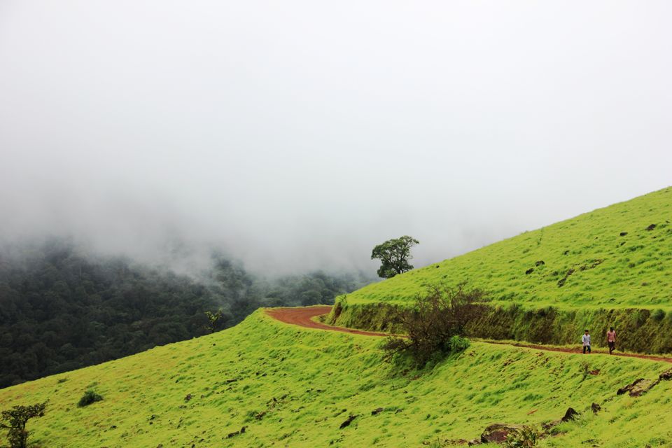 Photo of Beauty at its best- kodachadri trekking trail. by Rishika Jain
