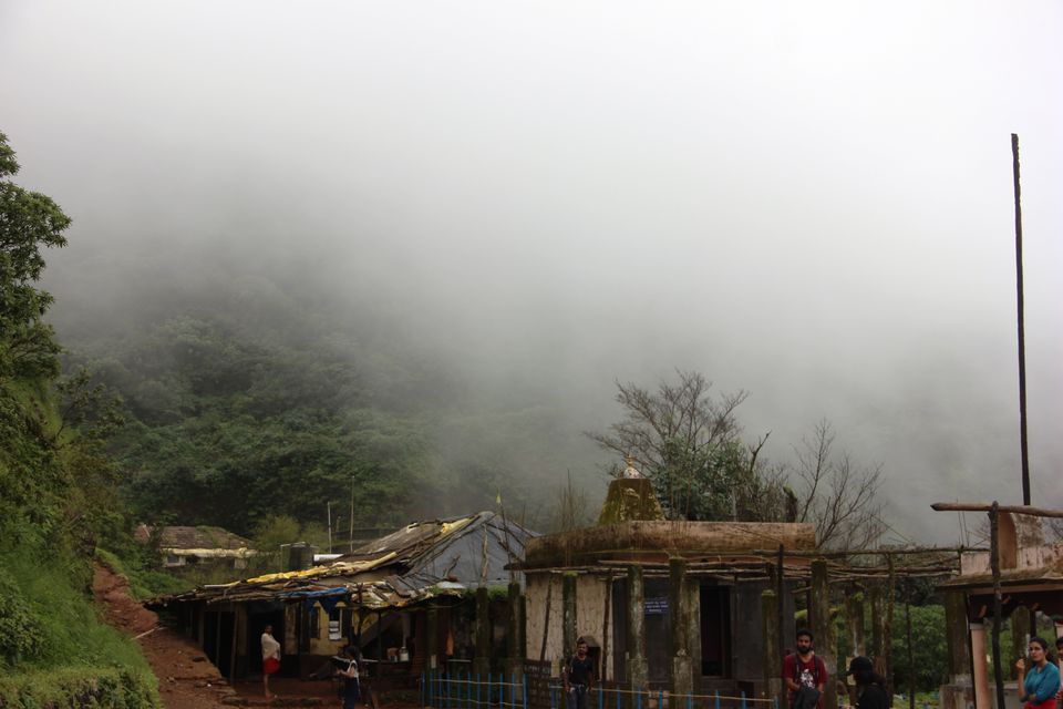 Photo of Beauty at its best- kodachadri trekking trail. by Rishika Jain