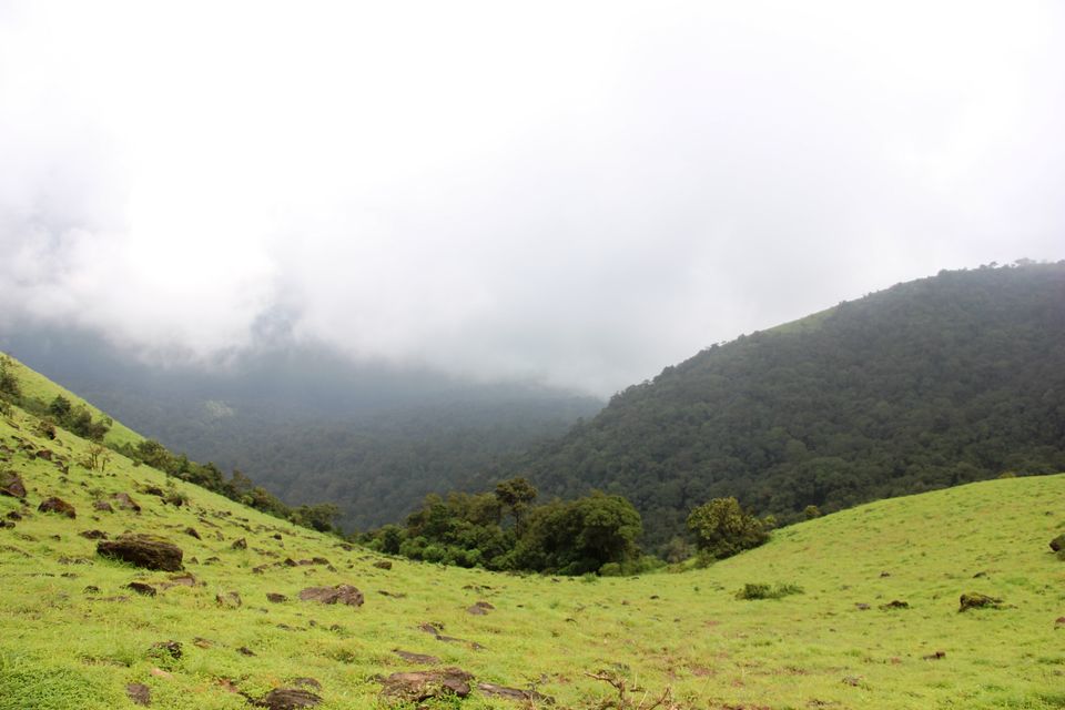 Photo of Beauty at its best- kodachadri trekking trail. by Rishika Jain