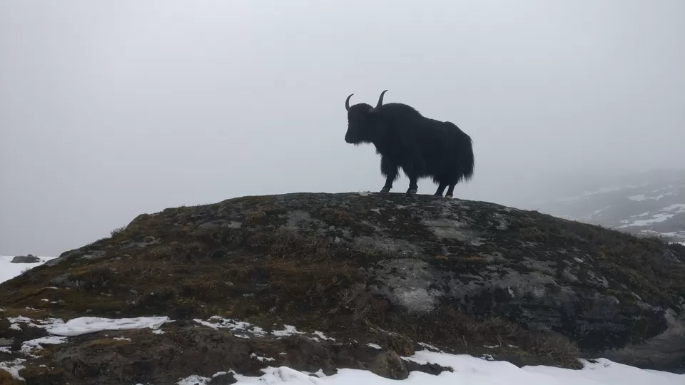 Photo of TAWANG TOUR - ARUNACHAL PRADESH by mamta mistry