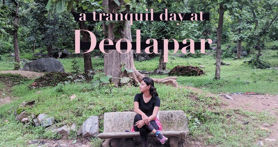 Photo of Forest Freedom In Deolapar, Maharashtra 1/4 by Nayanika Bhatia